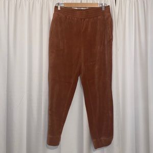 Velvet Joggers